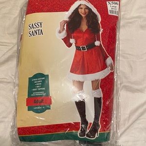 Sassy Santa Costume Dress
